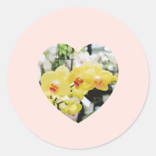Lovely Yellow tropical Orchid Flower heart Classic Round Sticker