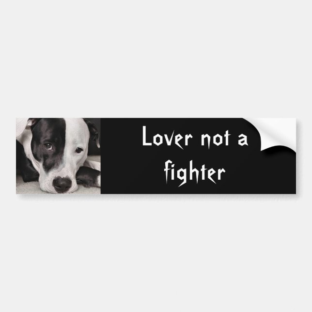 Lover not a fighter bumper sticker (Front)