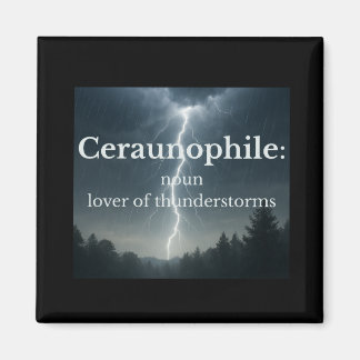 Lover of Thunder Storms Magnet