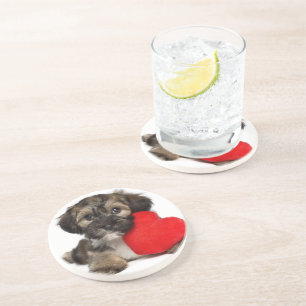 Lover Valentine Havanese Puppy Dog Coaster