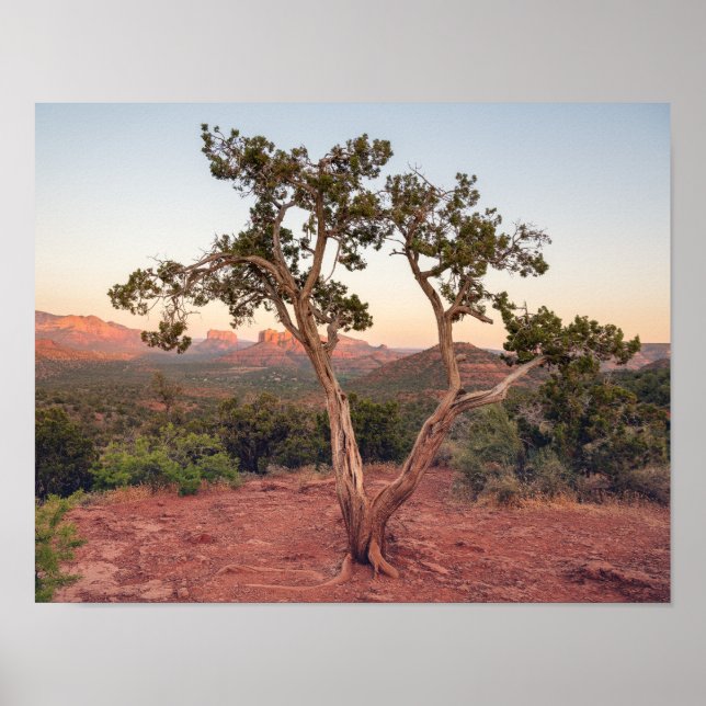 Lovers Knoll Sunset in Sedona Poster (Front)