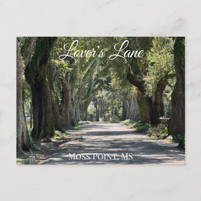 Lover's Lane, Moss Point, MS Postcard (Front)