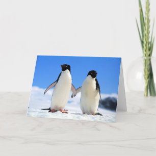 lovers penguins card
