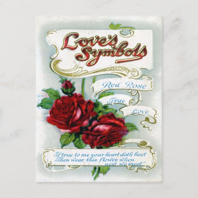 Love's Symbols Postcard (Front)