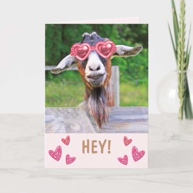 Lovestruck Goat Valentine's Day Holiday Card (Front)
