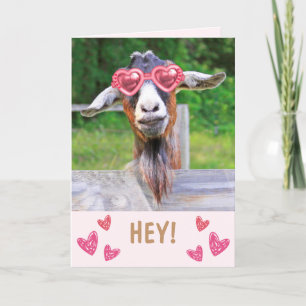 Lovestruck Goat Valentine's Day Holiday Card