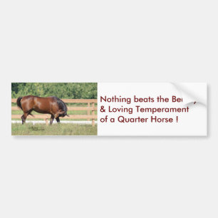 Loving Beauty Quarter Horse Bumper Sticker