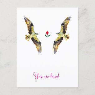 Loving birds. Ospreys Holiday Postcard