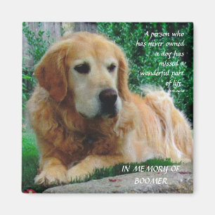 Loving Dogs Magnet