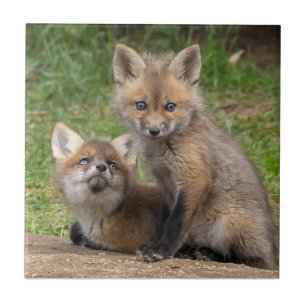 Loving Eyes Ceramic Tile