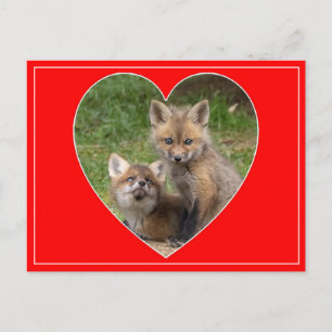 Loving Eyes Valentine  Postcard