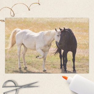 Loving Horses Tissue Paper