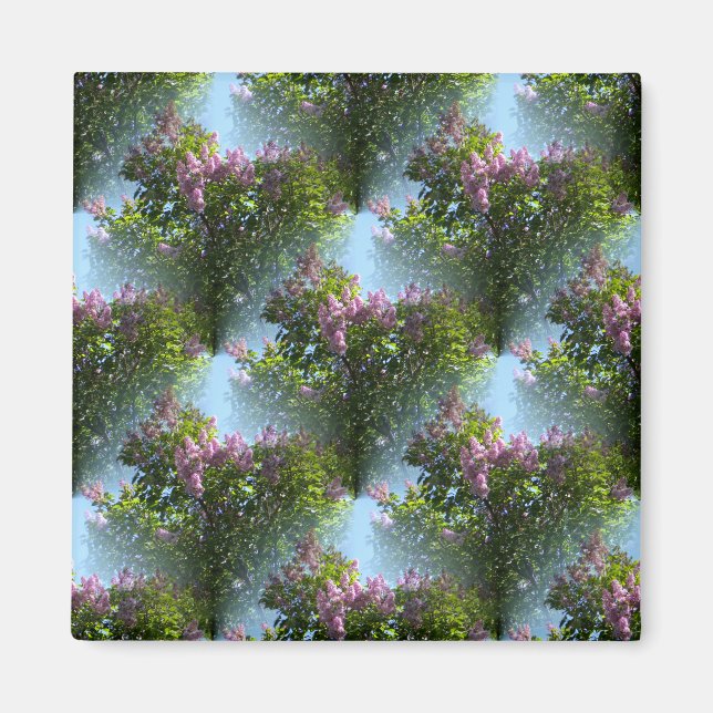 Loving Lilacs.... Magnet (Front)