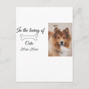 loving memorial keepsake funeral add pet name phot postcard