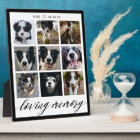Loving Memory Modern Pet Memorial Photo Collage