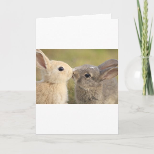 loving rabbit card (Front)