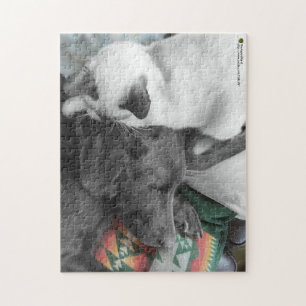 Loving Siamese Kitten Watches Labrador Sleep Jigsaw Puzzle