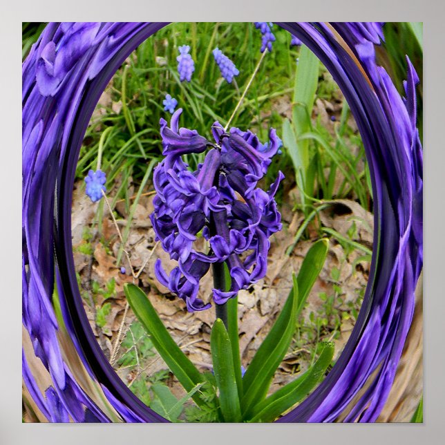 Loving Spring Garden.... Poster (Front)