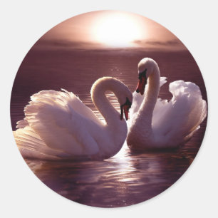 Loving Swans Forming a Heart Classic Round Sticker