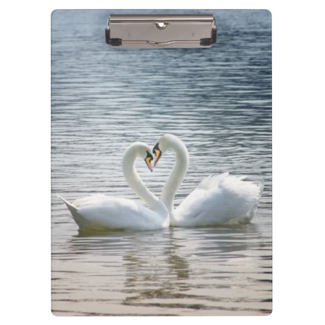 Loving swans forming a heart  clipboard (Front)