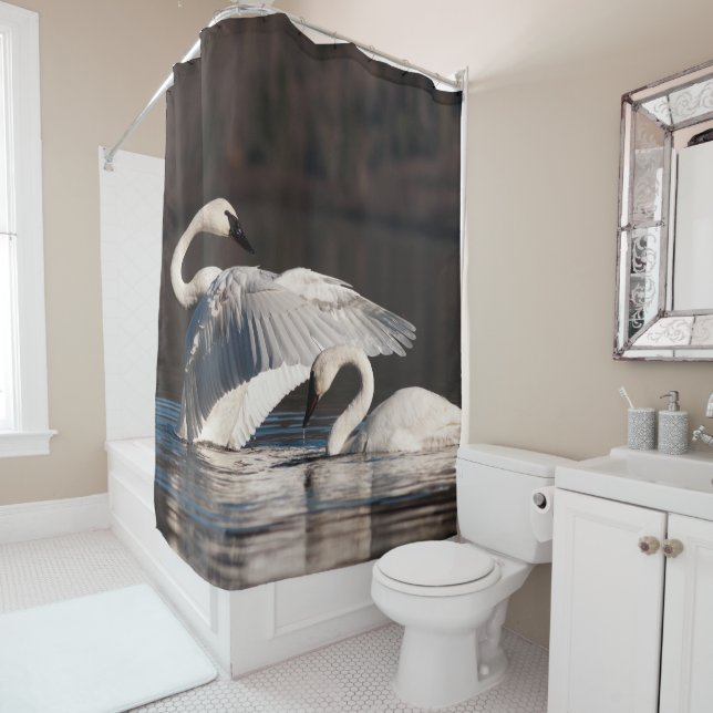 Loving Swans Shower Curtain (In Situ)