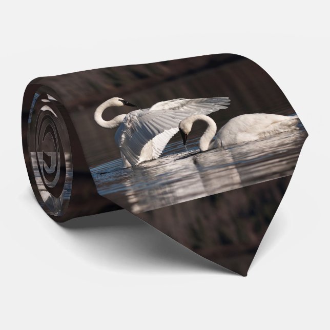 Loving Swans Tie (Rolled)