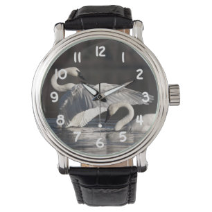 Loving Swans Watch