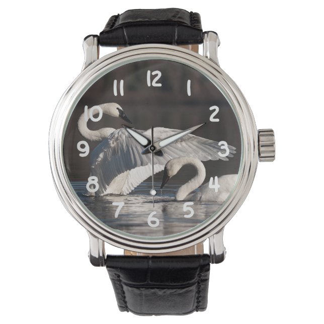 Loving Swans Watch (Front)