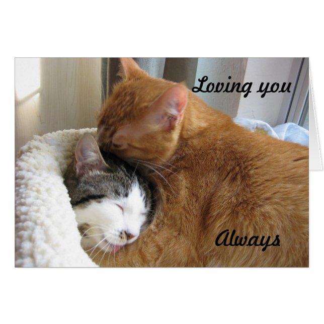 Loving you, Always 036 (Front Horizontal)