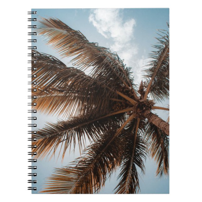 Low-angle photo of coconut tree notebook (Front)