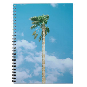 Low-angle photo of palm trees under blue sky notebook