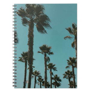 Low angle photo of trees in the morning notebook