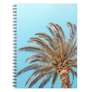 Low-angle photography of a green palm tree under a notebook