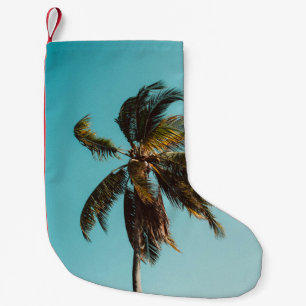 Low angle photography of coconut tree small christmas stocking