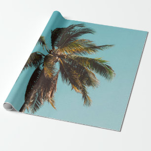 Low angle photography of coconut tree wrapping paper