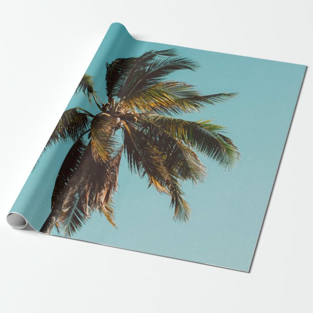 Low angle photography of coconut tree wrapping paper (Unrolled)