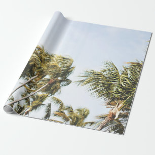 LOW-ANGLE PHOTOGRAPHY OF GREEN COCONUT TREES UNDER WRAPPING PAPER