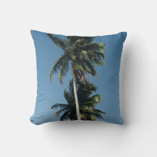 Low angle photography of three coconut trees cushion