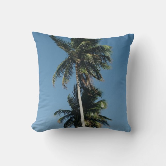 Low angle photography of three coconut trees cushion (Front)