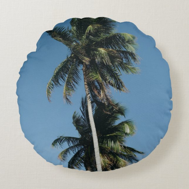 Low angle photography of three coconut trees round cushion (Front)