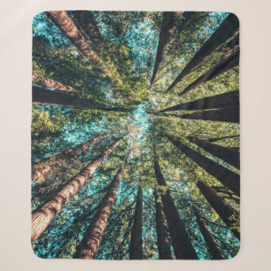 Low angle photography of trees at daytime sherpa blanket