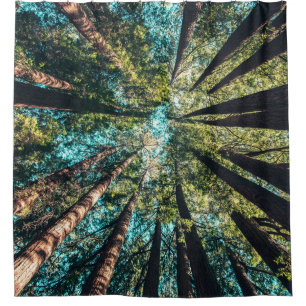 Low angle photography of trees at daytime shower curtain