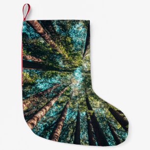 Low angle photography of trees at daytime small christmas stocking