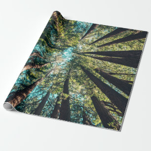 Low angle photography of trees at daytime wrapping paper