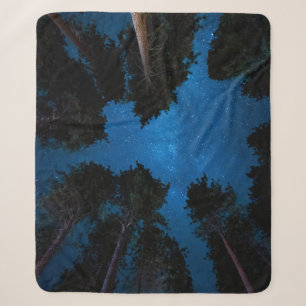 LOW ANGLE PHOTOGRAPHY OF TREES SHERPA BLANKET