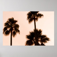 LOW-ANGLE PHOTOGRAPHY PALM PLANTS
