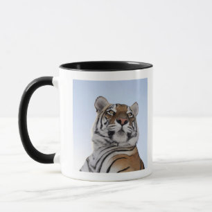 Low angle view of a Tiger (Panthera tigris) Mug