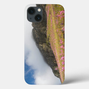 Low Angle View Of Watsonias Against The Slopes iPhone 13 Case