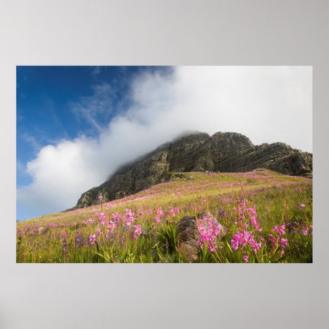 Low Angle View Of Watsonias Against The Slopes Poster (Front)