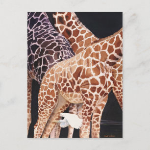 "Low Clearance" Giraffe Wildlife Animal Watercolor Postcard
